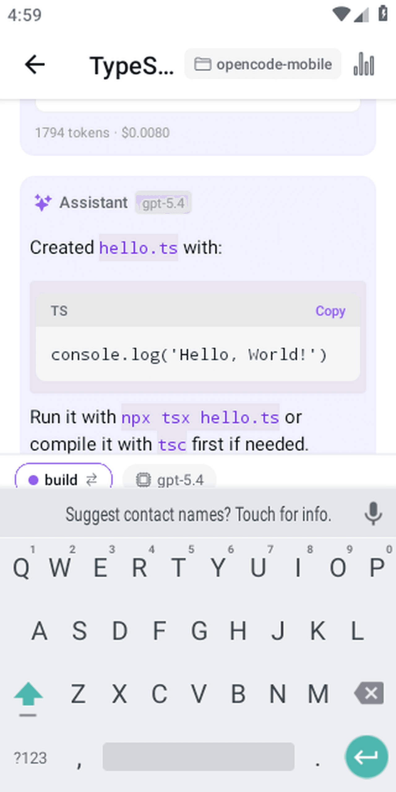 Completed hello.ts file with usage instructions shown in the chat transcript.